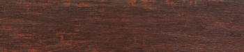 Nussbaum