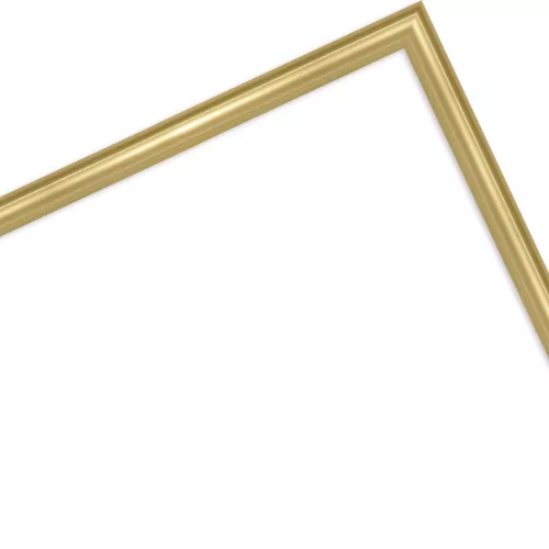 Kunststoffrahmen Brandenburg Gold 20x28 ohne Glas mit Rückwand