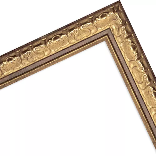 Barockrahmen Gera Gold 50x50 ohne Glas mit Rückwand