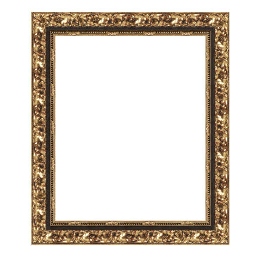 Barockrahmen Lion Gold/Schwarz 50 x 50 cm Leerrahmen