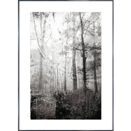 Nielsen Gerahmtes Bild „Wald“ 84,1 x 118,9 cm